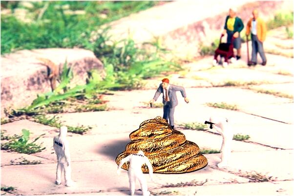 夢到了有人看自家林地是什麼預兆_周公解夢官網