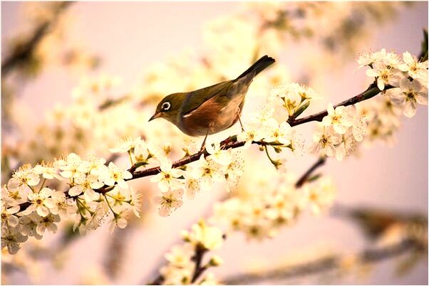 夢到了與前女友和好怎么樣_周公解夢官網