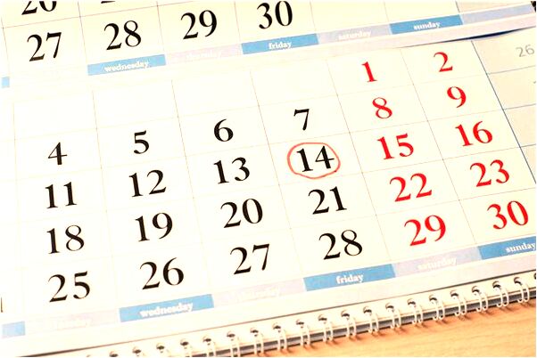 夢到了雞狗進家是什麼徵兆_周公解夢官網