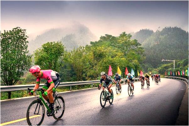 夢到了樹葉掉了是什麼徵兆_周公解夢官網