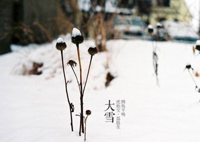 2014年大雪是什麼時候：2014年12月7日