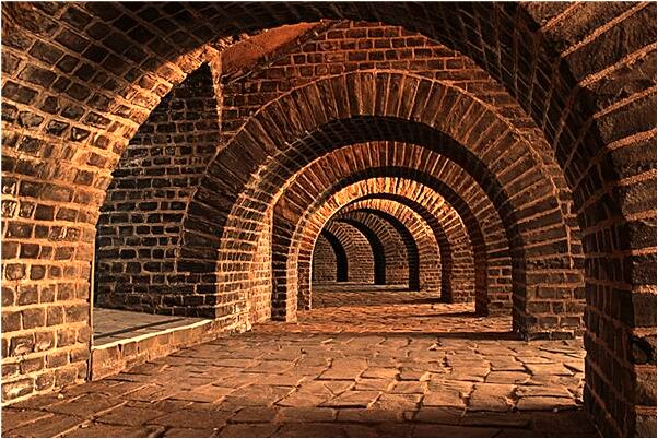 夢到了好多刺蝟趕不走是什麼意思_周公解夢官網