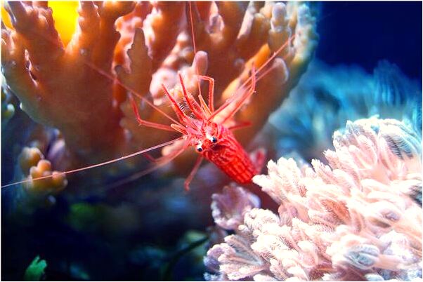 夢見朋友從電梯上摔下去流血了是好事還是壞事_周公解夢官網