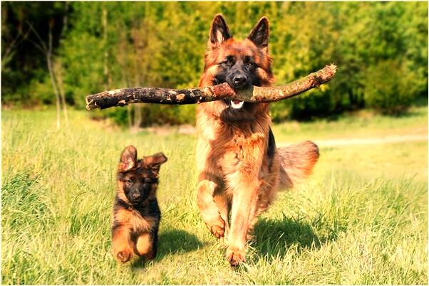 夢到別人拉自己上來是好的徵兆嗎_周公解夢官網