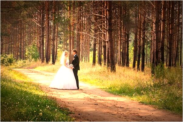 夢見砍斷蛇尾巴是什麼預兆_周公解夢官網