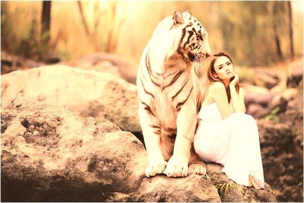 夢到成熟的杏子有什麼徵兆_周公解夢官網