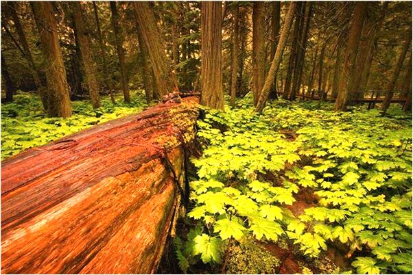 夢到避雨房子卻漏雨啥意思_周公解夢官網