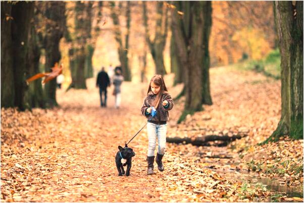 夢到了婆婆躺在棺里還跟我説話是啥預兆_周公解夢官網