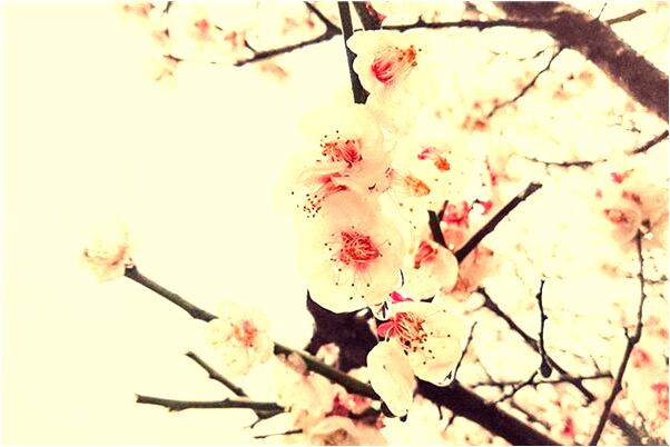 夢到女兒生病很嚴重是什麼預兆？_周公解夢官網