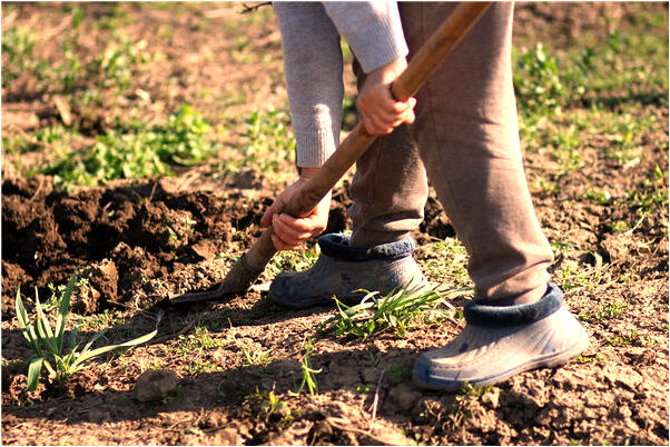 夢見只穿了保暖內衣褲見朋友是咋回事_周公解夢官網