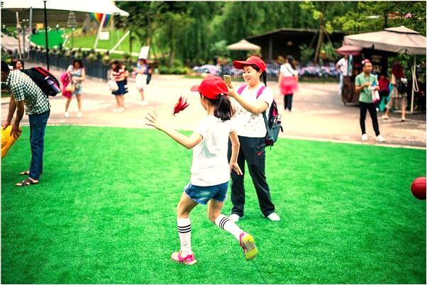 夢到了從樹上摘果子吃是不是好的徵兆呢_周公解夢官網