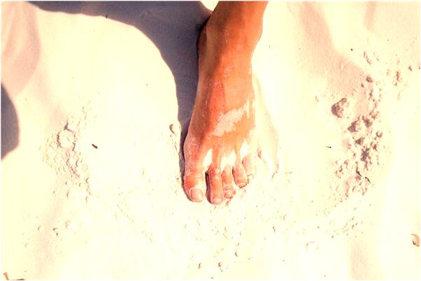 夢見和陌生女子游泳遇到水蛇有什麼說法_周公解夢官網