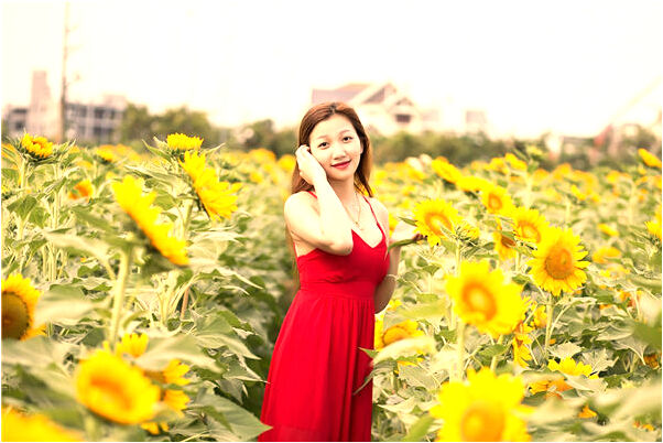 夢到和表妹爭吵是凶兆還是吉兆_周公解夢官網