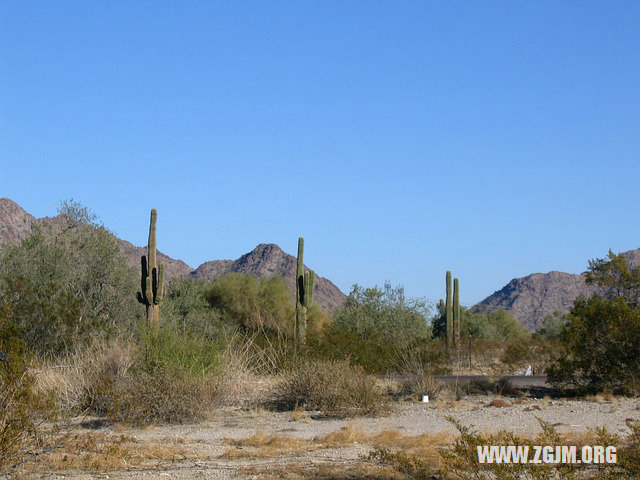夢見女人拉屎_周公解夢夢到女人拉屎是什麼意思_做夢夢見女人拉屎好不好_周公解夢官網