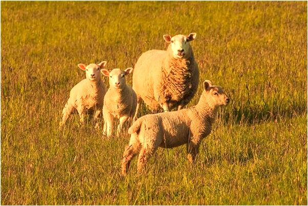 夢見自己打男朋友是啥意思_周公解夢官網