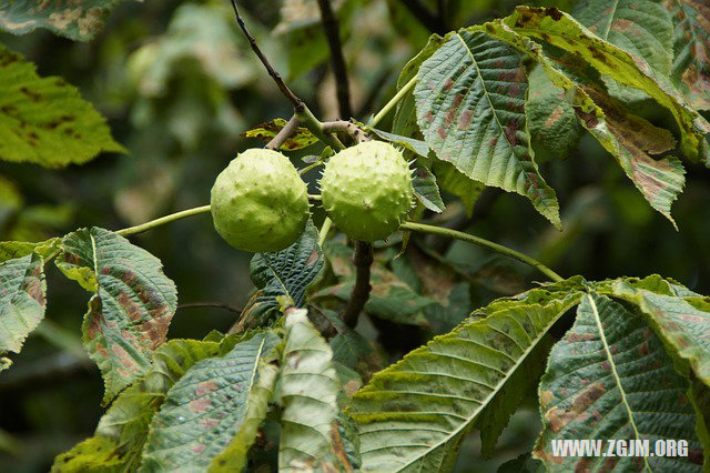 夢見房屋塌陷_周公解夢夢到房屋塌陷是什麼意思_做夢夢見房屋塌陷好不好_周公解夢官網