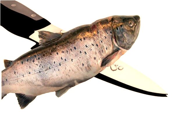 夢到別人送自己桃胡是吉兆嗎?_周公解夢官網