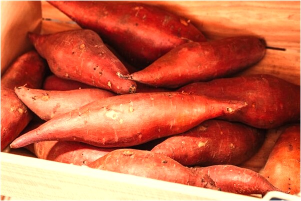 夢到了自己喝白酒是凶兆還是吉兆_周公解夢官網