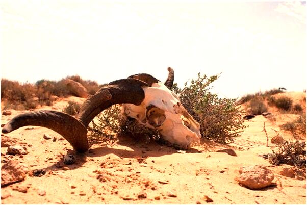 夢見財務室是什麼預兆_周公解夢官網