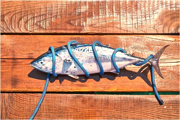 夢到了綠色的線是凶兆還是吉兆_周公解夢官網