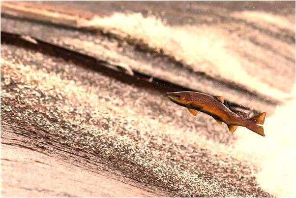 夢到了老師打我頭是凶兆還是吉兆_周公解夢官網