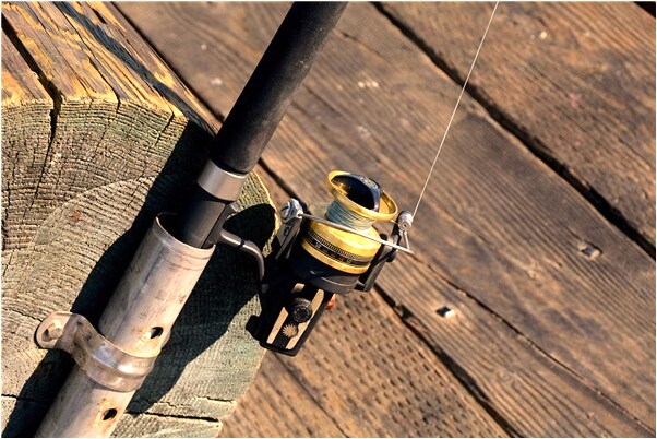 夢到被狗咬住衣服撕扯是好事還是壞事_周公解夢官網