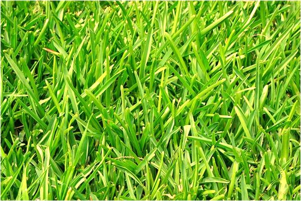 夢到天崩之後晴天啥意思_周公解夢官網