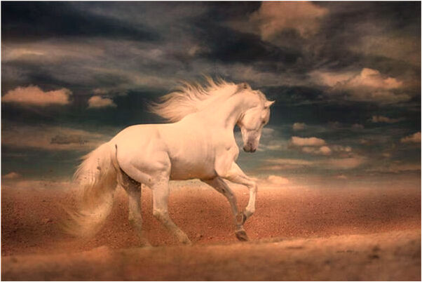 夢到去世的老公跟我親近什麼預兆_周公解夢官網