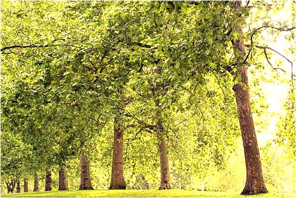 夢到有人拿繩子勒脖子有什麼說法_周公解夢官網