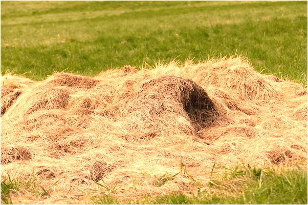 夢到了別人把尿撒在我床上代表什麼_周公解夢官網