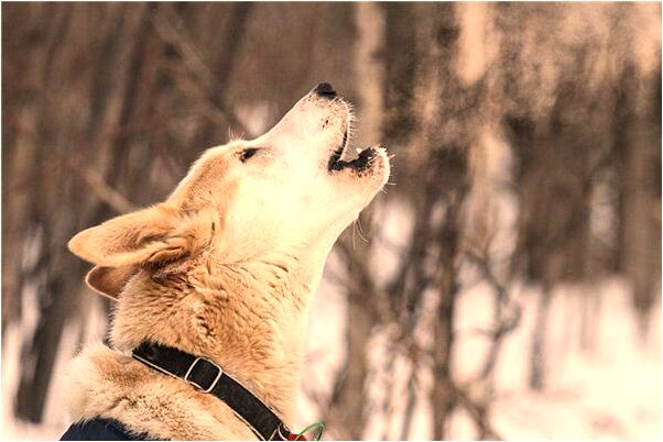 夢到了嘴對嘴餵藥是啥預兆_周公解夢官網
