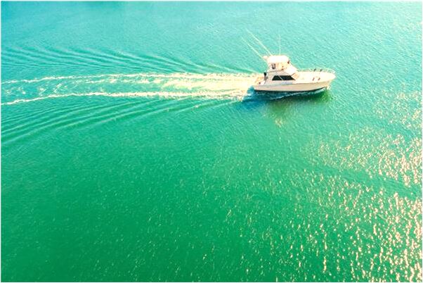 夢到掛針出血會是什麼預兆_周公解夢官網