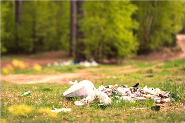 夢到撞死了兩隻狗是什麼預兆？_周公解夢官網