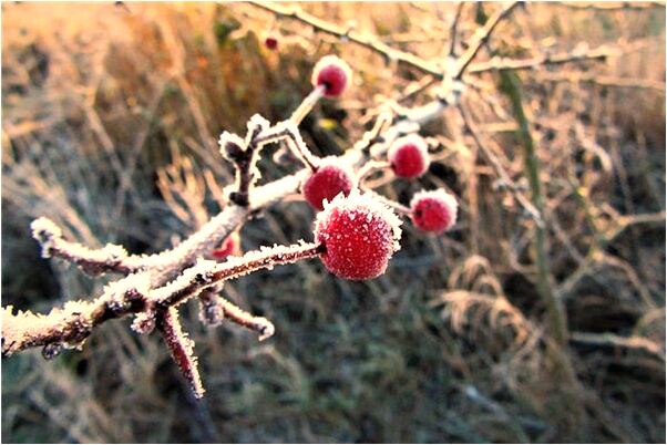 夢到了自己在睡覺被別人吻了預示什麼_周公解夢官網