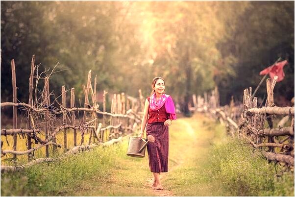 夢見黃狗咬黑狗有什麼說法_周公解夢官網