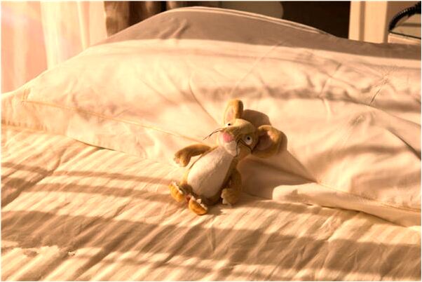 夢到了她人帶孝預示什麼_周公解夢官網