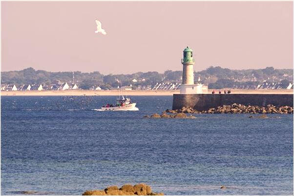 夢到了自己去整手錶是什麼徵兆_周公解夢官網