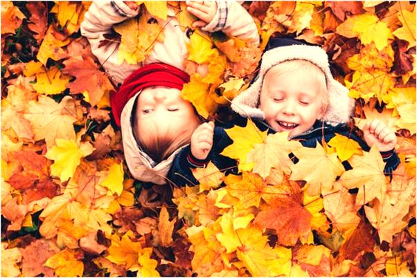 夢到別人划船意味什麼_周公解夢官網