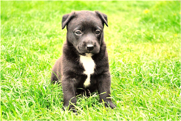 夢到了一朋友離婚有什麼意義嗎_周公解夢官網