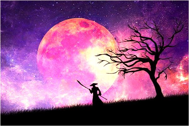 夢見陪男朋友等車意味什麼_周公解夢官網