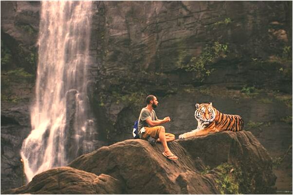 夢到了自己在公車上拉便便了會是什麼預兆_周公解夢官網