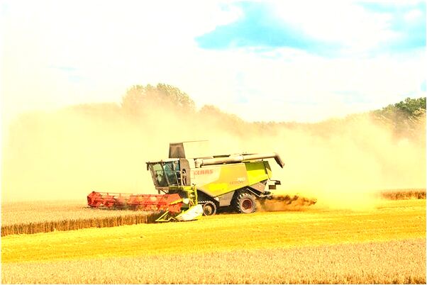 夢見房子地板漏洞噴水會是什麼預兆_周公解夢官網