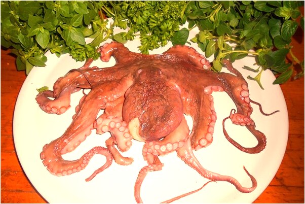 夢見自己掉糞坑和蛆什麼寓意_周公解夢官網