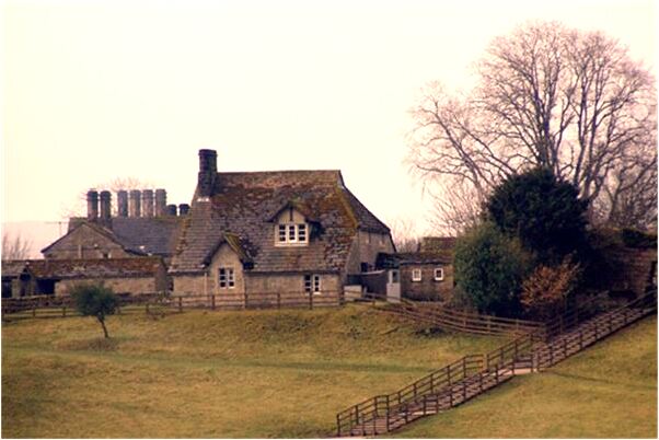 夢見認親是福還是禍預示什麼_周公解夢官網