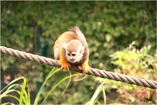 夢到了去世的親人請吃飯是好事還是壞事_周公解夢官網