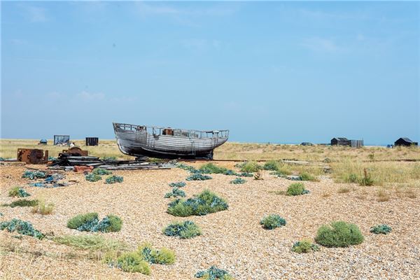 夢到了荒廢的預兆_周公解夢
