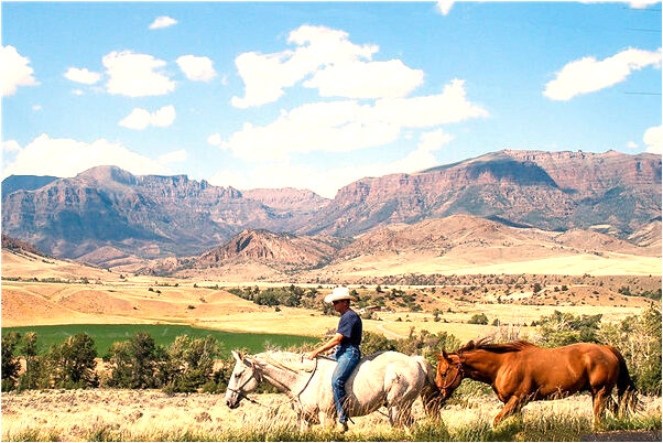 夢到了自己嫂子懷孕要結婚意味著什麼_周公解夢官網