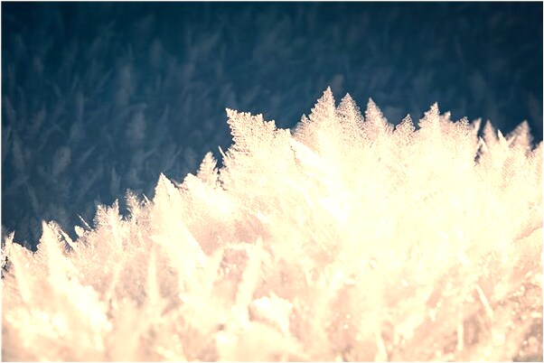 夢見打了女朋友是啥預兆_周公解夢官網