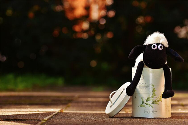 2003年12月屬羊的運勢_十二生肖