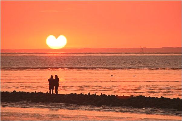 夢到了吃烤熟的狗骨頭有什麼預示嗎_周公解夢官網